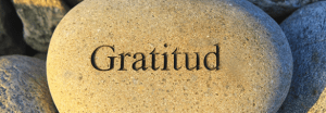 gratitud